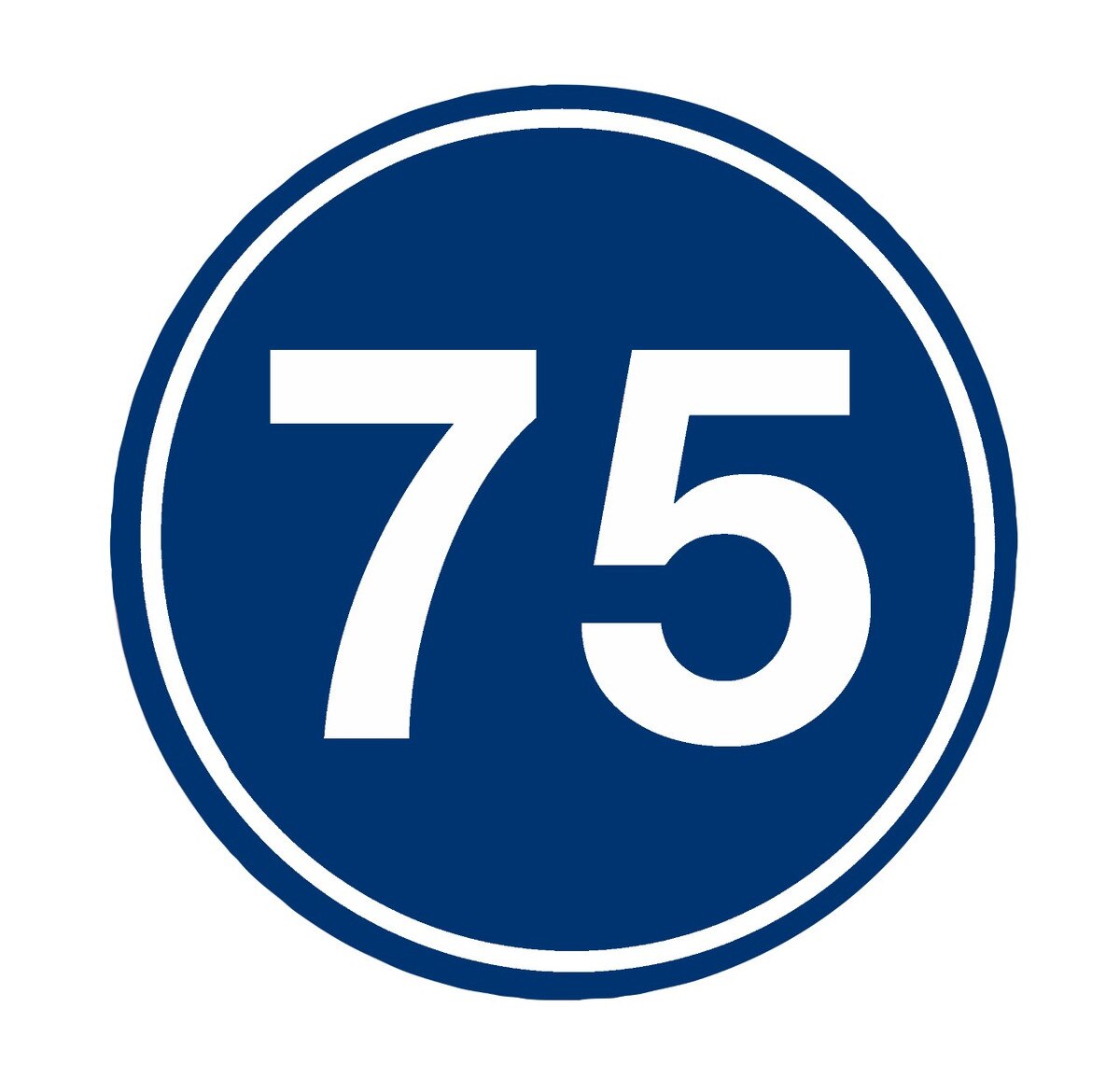 Deluxe Chipping Targets Blue 75